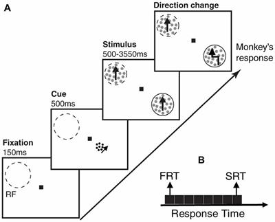 Neural Activity Predicts Reaction in Primates Long Before a Behavioral Response